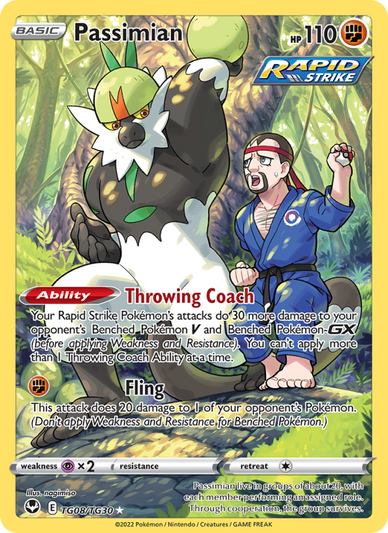 Passimian Holo Rare (TG08/195) Silver Tempest