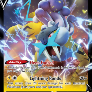 Raikou V Holo Rare V (048/172) swsh9