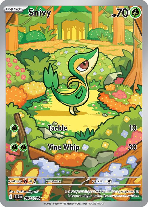 Snivy Illustration Rare (087/086) Black Bolt