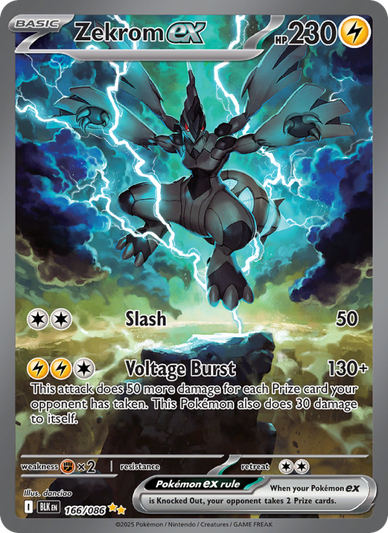 Zekrom ex Special illustration rare (166/86) Black Bolt