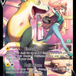 Boltund V Rare Holo V (TG13/TG30) Brilliant Stars Trainer Gallery