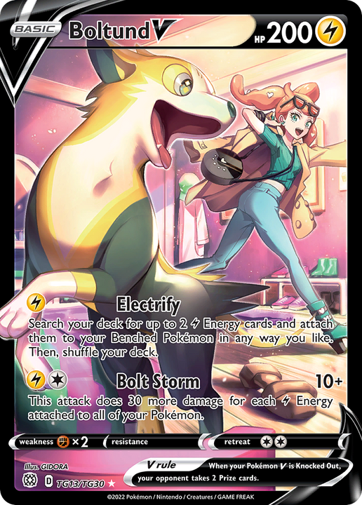 Boltund V Rare Holo V (TG13/TG30) Brilliant Stars Trainer Gallery